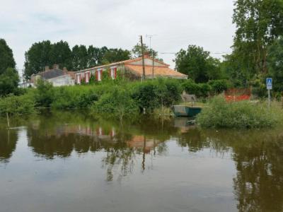 Bedloire