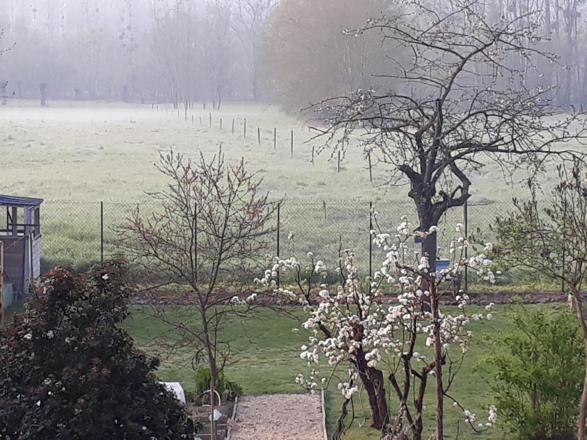 Bedloire *