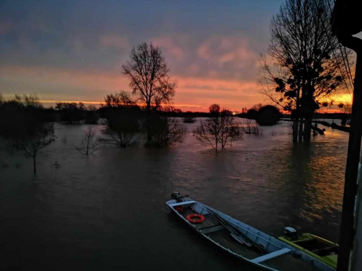 Bedloire * Drain